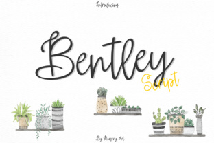 Bentley Font Review: A Designer’s Take on Script Amp’s Elegant Script