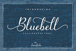 Bluebell: A Modern Script Font for Editorial Design