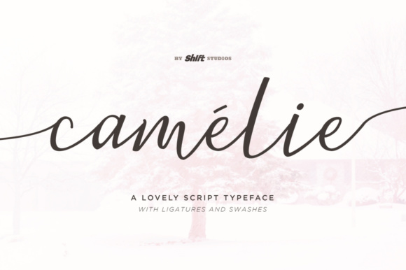 Camelie: A Bouncy Script Font for Editorial Design