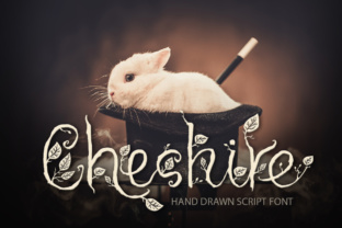 Cheshire: A Designer’s Review of Script Amp’s Bold Script
