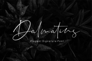 Dalmatins: A Modern Typeface for Elegant Editorial Design