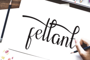 Fellant: A Versatile Script Font for Modern Web Design