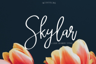 Skylar: The Casual Font for Unique Craft Designs